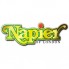 Napier (3)